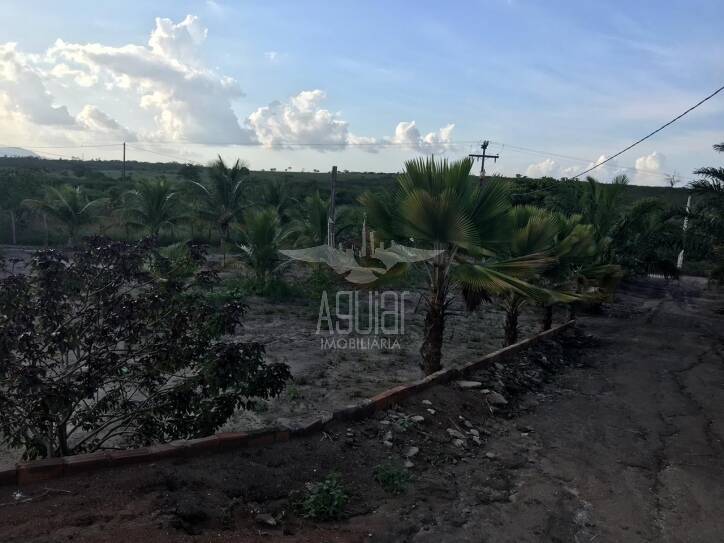 Fazenda à venda com 5 quartos, 1m² - Foto 2