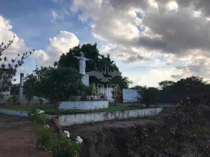 Fazenda à venda com 5 quartos, 1m² - Foto 4