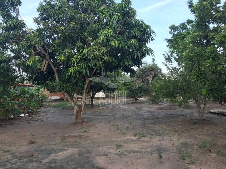 Fazenda à venda com 5 quartos, 1m² - Foto 19