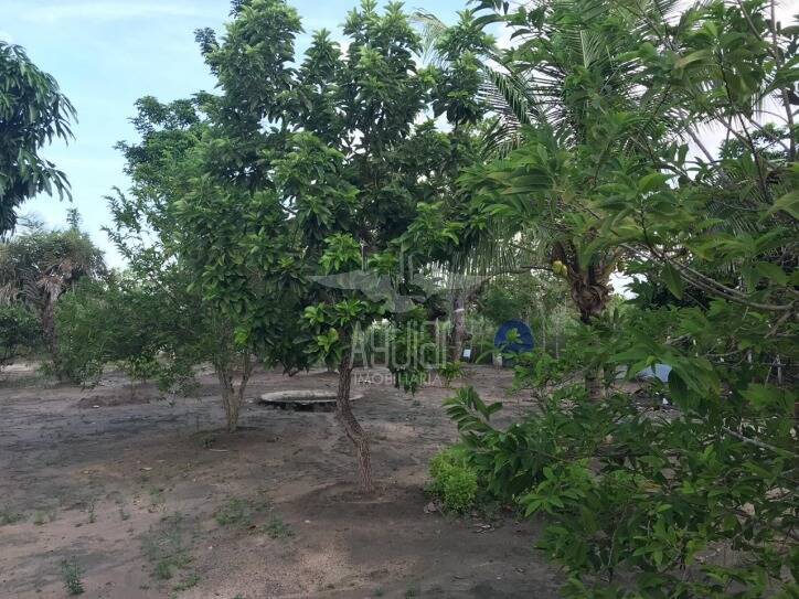 Fazenda à venda com 5 quartos, 1m² - Foto 20