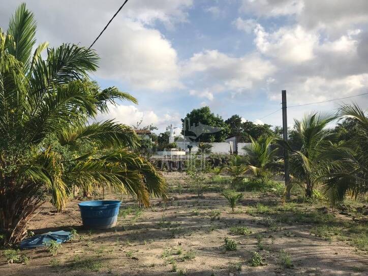 Fazenda à venda com 5 quartos, 1m² - Foto 22