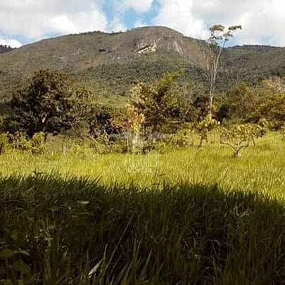 Fazenda à venda com 8 quartos, 397m² - Foto 7