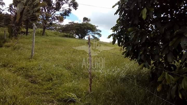 Fazenda à venda com 8 quartos, 397m² - Foto 9