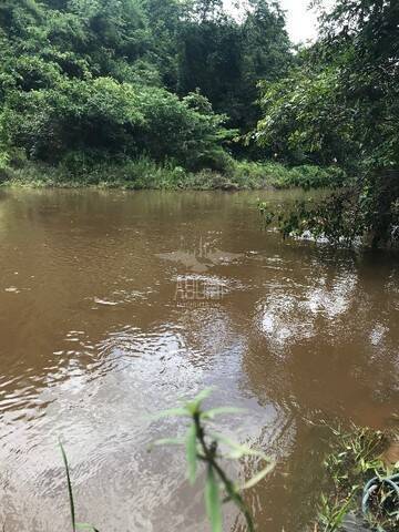 Terreno à venda com 5 quartos, 300m² - Foto 18