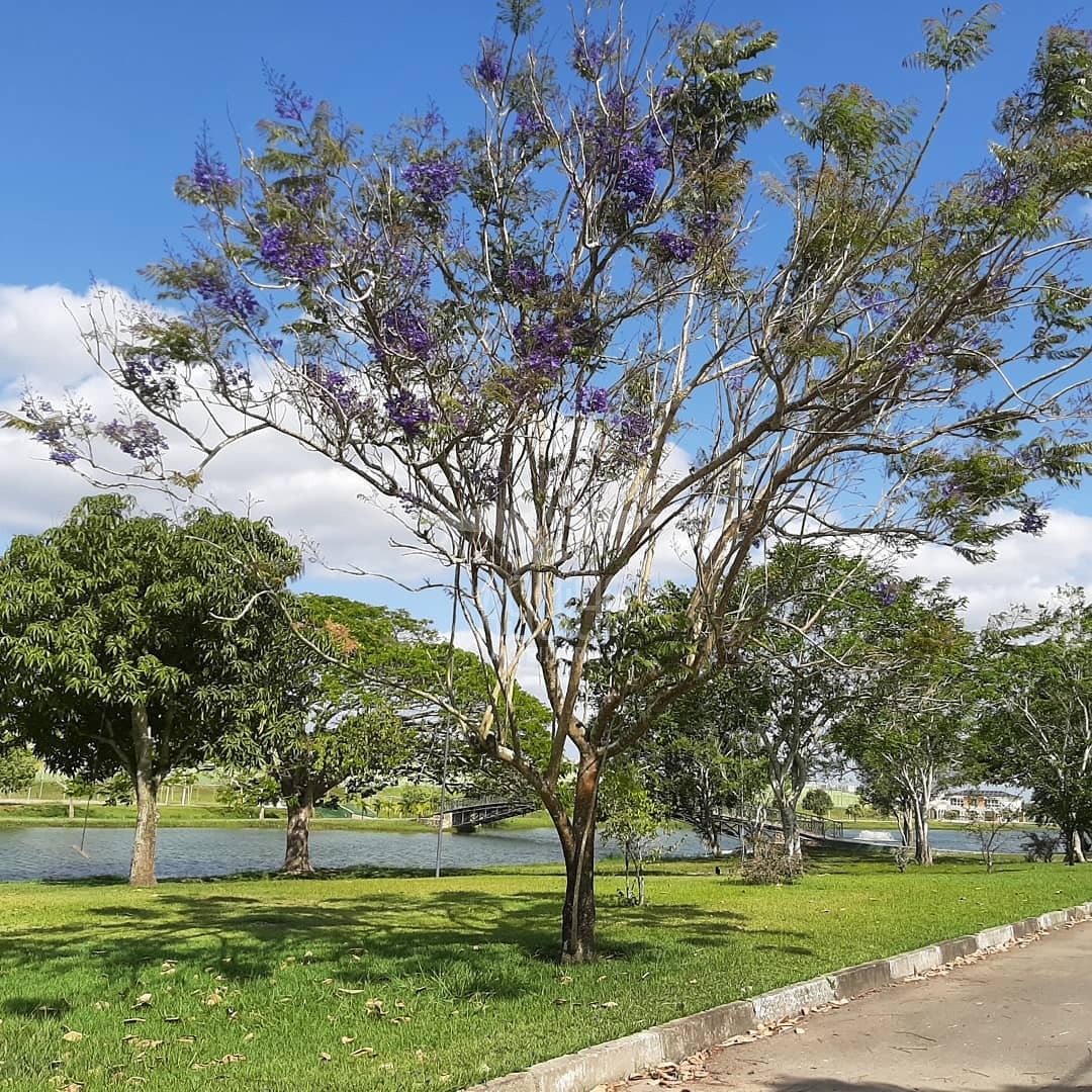 Terreno à venda, 720m² - Foto 45